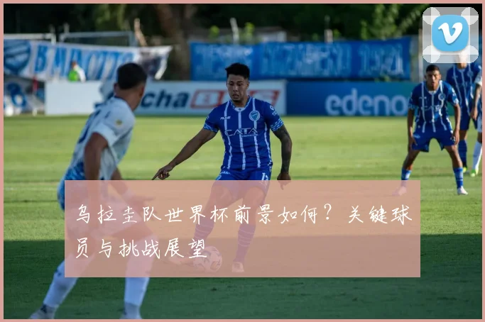 乌拉圭队世界杯前景如何？关键球员与挑战展望