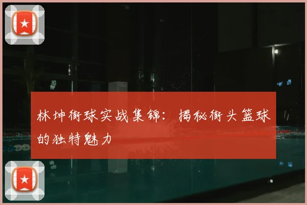 林坤街球实战集锦：揭秘街头篮球的独特魅力