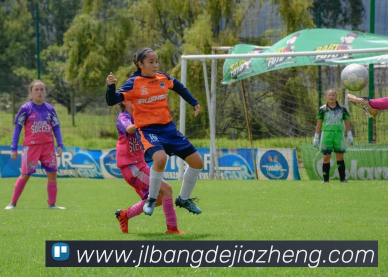 hth华体网页版登录入口平台生态图